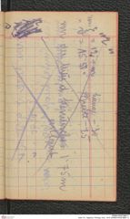 Seite 101, Tagebuch "Photogr. Aufn. 1919" (NHMW-PRAE-BBB-11)